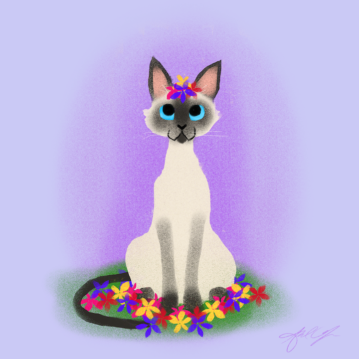 May Kitty