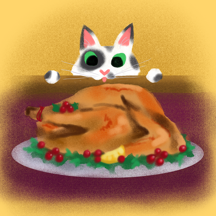 November Kitty