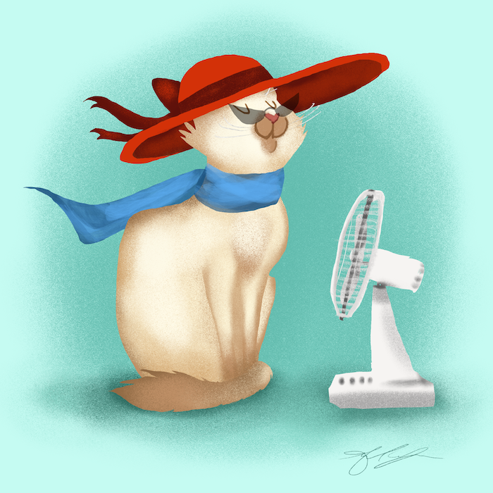 August Kitty