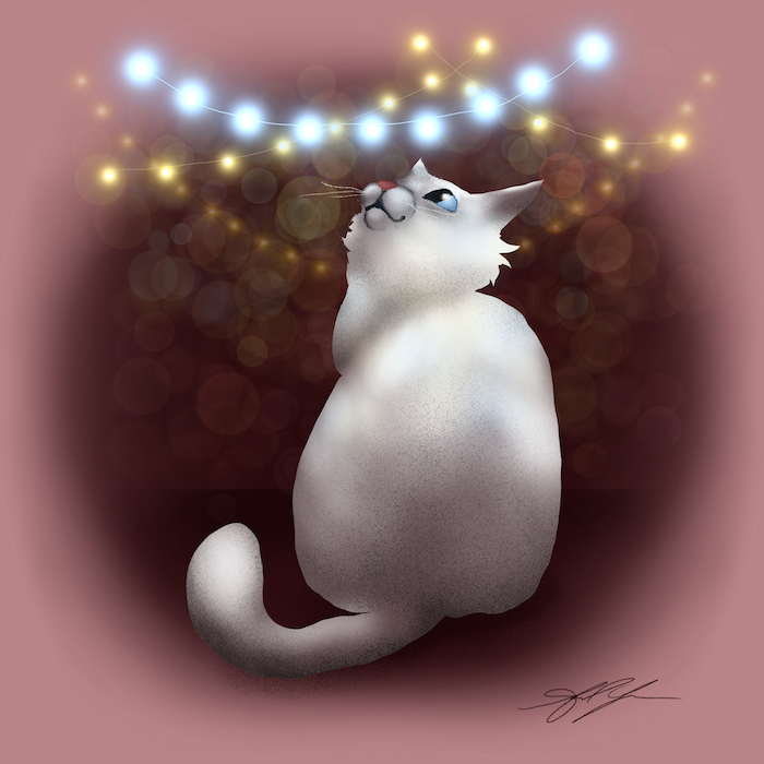 December Kitty