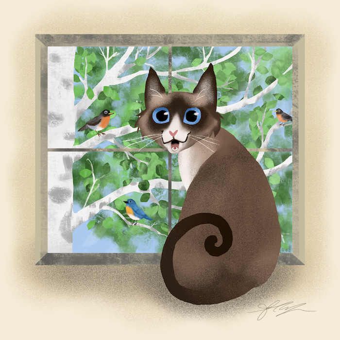 May Kitty