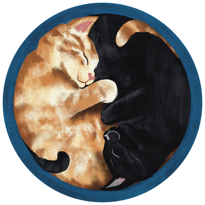 Cuddly Kitties