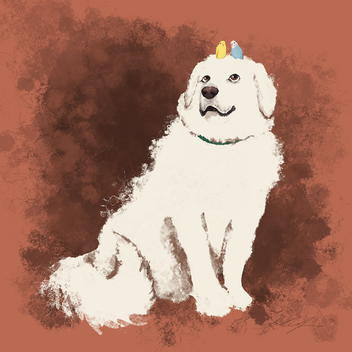 Commissions