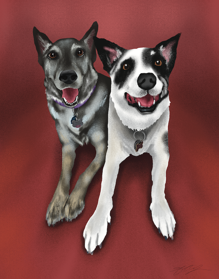 Zero & Bella